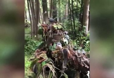 ギリースーツで草木に化けたサバゲーマーに小鳥が舞い降りる