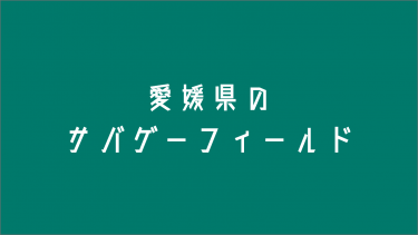 愛媛県のサバゲーフィールド４選